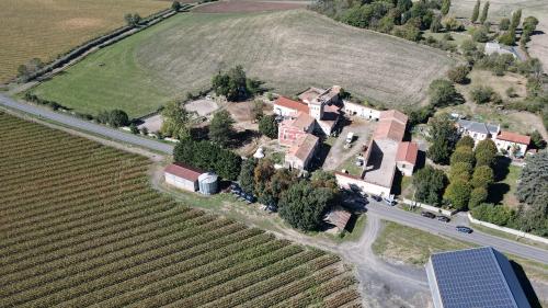 DJI_4132.JPG